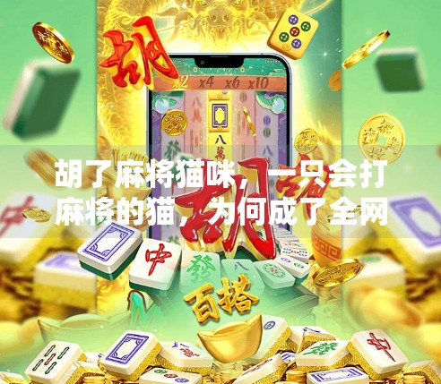 胡了麻将猫咪,一只会打麻将的猫,为何成了全网最火的猫界赌神? 胡了麻将猫咪,一只会打麻将的猫,为何成了全网最火的猫界赌神?