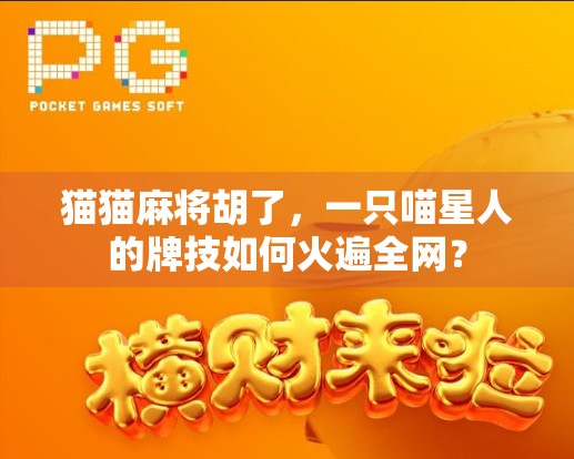 猫猫麻将胡了,一只喵星人的牌技如何火遍全网? 猫猫麻将胡了,一只喵星人的牌技如何火遍全网?