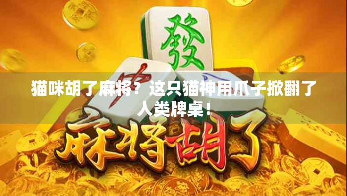 猫咪胡了麻将?这只猫神用爪子掀翻了人类牌桌! 猫咪胡了麻将?这只猫神用爪子掀翻了人类牌桌!