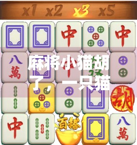 麻将小猫胡了,一只猫咪的牌技为何让全网爆笑? 麻将小猫胡了,一只猫咪的牌技为何让全网爆笑?