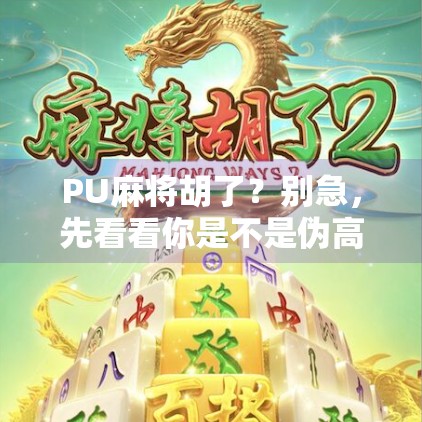 PU麻将胡了?别急,先看看你是不是伪高手! PU麻将胡了?别急,先看看你是不是伪高手!