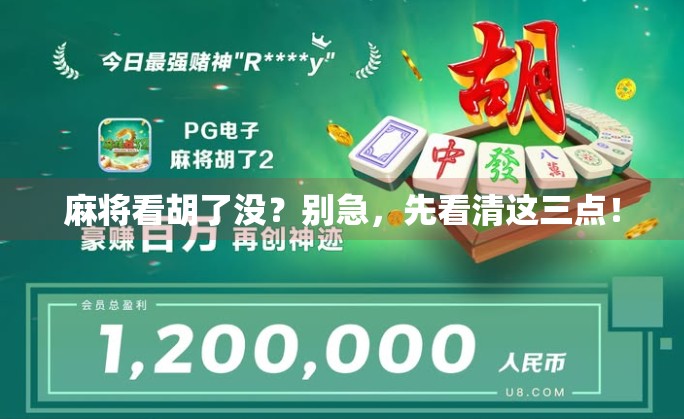 麻将看胡了没?别急,先看清这三点!
