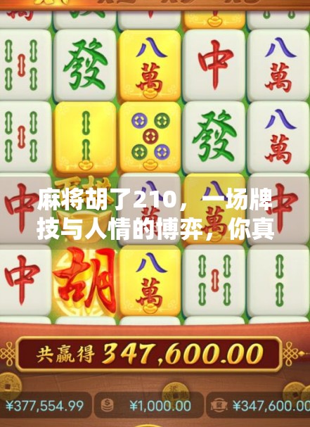 麻将胡了210,一场牌技与人情的博弈,你真的赢了吗? 麻将胡了210,一场牌技与人情的博弈,你真的赢了吗?