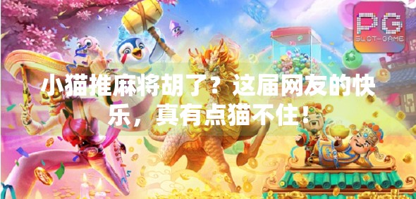 小猫推麻将胡了?这届网友的快乐,真有点猫不住! 小猫推麻将胡了?这届网友的快乐,真有点猫不住!