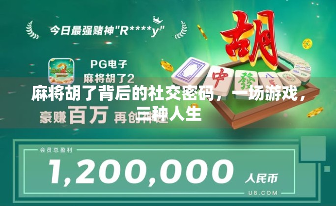 麻将胡了背后的社交密码,一场游戏,三种人生