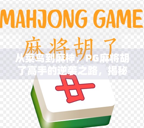 从菜鸟到麻神,PG麻将胡了高手的逆袭之路,揭秘背后的努力与技巧!