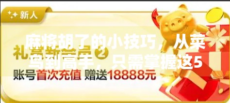 麻将胡了的小技巧，从菜鸟到高手，只需掌握这5个关键点！